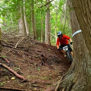 Meet your Posher, Ben